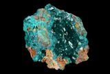 Gemmy Dioptase Crystal Cluster - N'tola Mine, Congo #148464-2